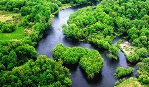 开云 开云体育2022钢结构行业发展现状及前景分析(图6)