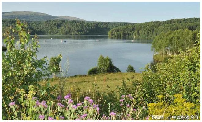 钢结构钢梯网格板 一切相遇皆有定义开云体育 开云官网(图2) 钢结构钢梯网格板 一切相遇皆有定义开云体育 开云官网(图2)