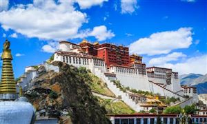 建筑钢结构市场分析与发展趋势调研2022开云体育 kaiyun.com 官网入口(图5)