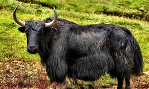 钢结构行业现状、前景开云体育 开云平台及发展趋势分析2023(图3)