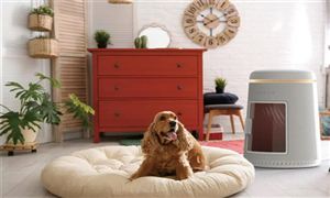 2022钢结构市场前景及行业发展现Kaiyun 开云状分析(图6)