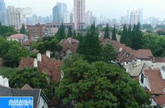 Kaiyun 开云上海一历史保护建筑被拆 历时近半年监管部门不知情(图13)