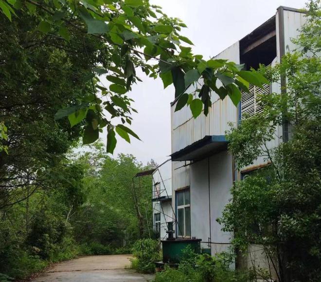 太便宜了吧？长沙一间钢结构厂房和机械拍卖被人66万就买下Kaiyun 开云体育(图4)