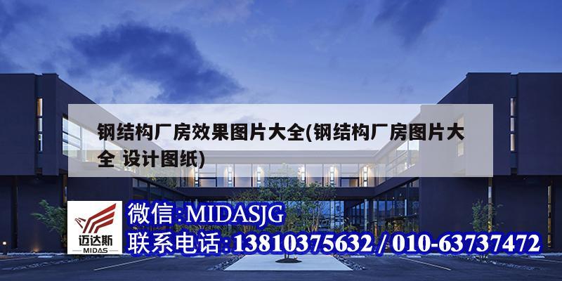 钢结构厂房效果图片大全(钢开云 开云体育平台结构厂房图片大全 设计图纸)(图1)