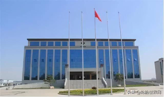 开云体育 Kaiyun.com 官网入口总30亿建设最大生产基地(图4)