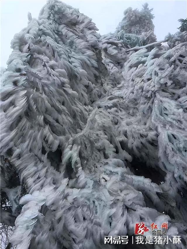 Kaiyun 开云湖南大山里发现奇特工程整座山体用钢丝网住究竟为何？去看看(图1)