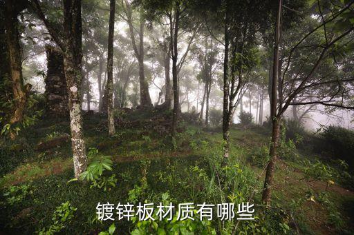 开云体育 开云平台电镀锌板两类镀锌板的国家标准介绍(图3)