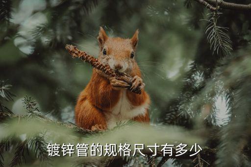 镀锌管型号规开云APP 开云官网入口格表镀锌钢管的规格(图2)