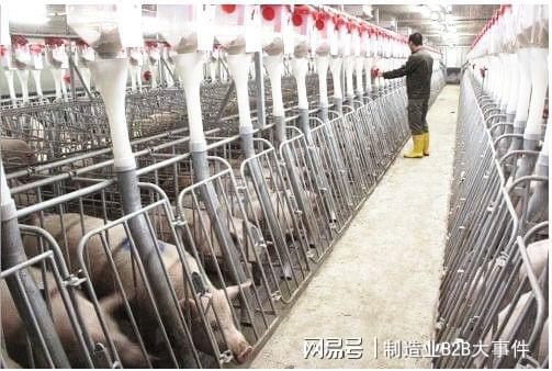 开云体育 Kaiyun.com 官网入口镀锌管太废304又太贵教您一个新的办法(图2)