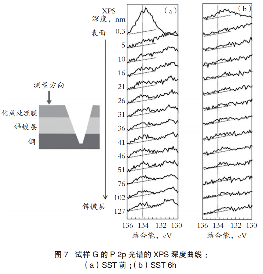 开云APP 开云官网入口化成处理膜缓蚀剂对镀锌钢板划伤部位耐蚀性的影响(图8)